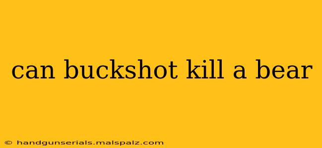 can buckshot kill a bear