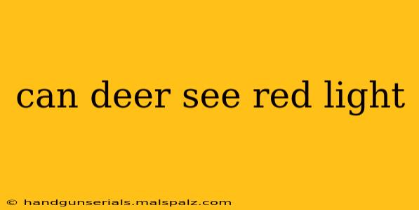 can deer see red light