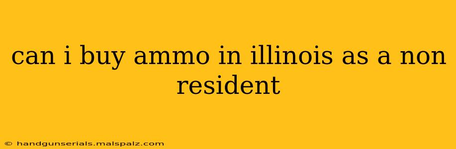 can i buy ammo in illinois as a non resident