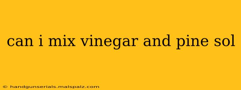 can i mix vinegar and pine sol