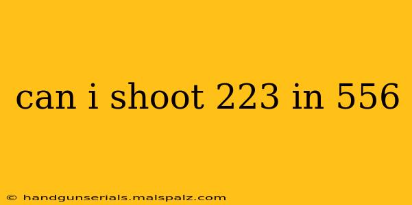 can i shoot 223 in 556