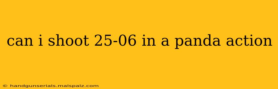 can i shoot 25-06 in a panda action