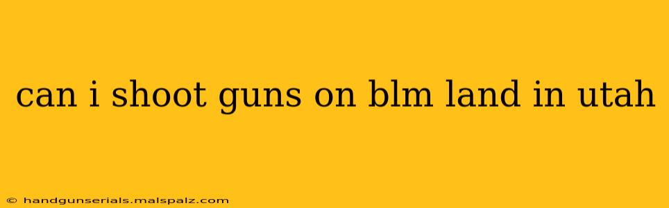 can i shoot guns on blm land in utah