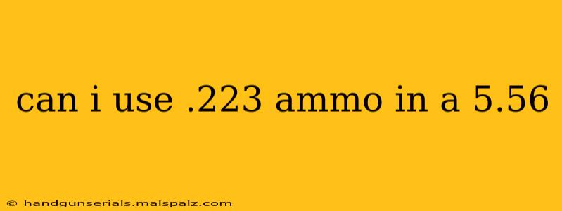 can i use .223 ammo in a 5.56