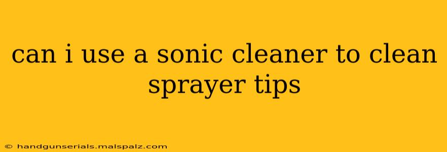 can i use a sonic cleaner to clean sprayer tips