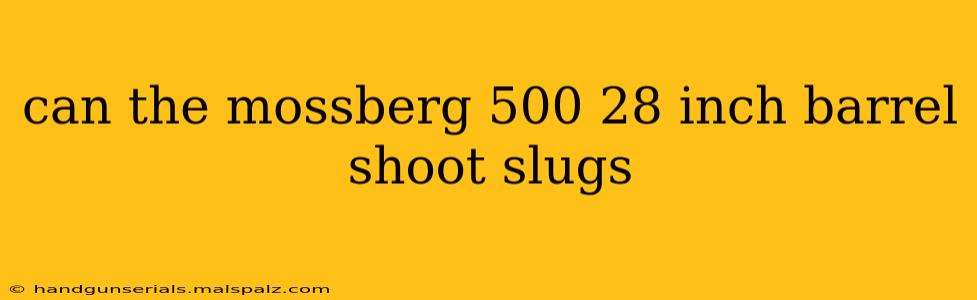 can the mossberg 500 28 inch barrel shoot slugs