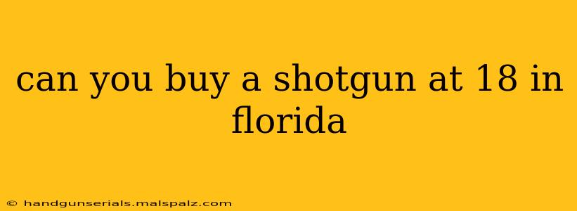 can you buy a shotgun at 18 in florida