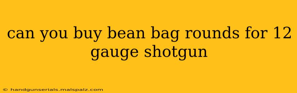 can you buy bean bag rounds for 12 gauge shotgun