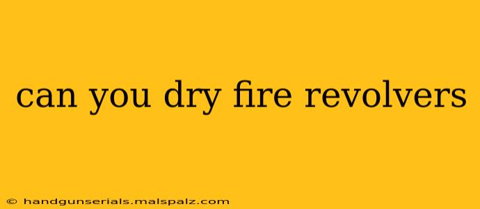 can you dry fire revolvers