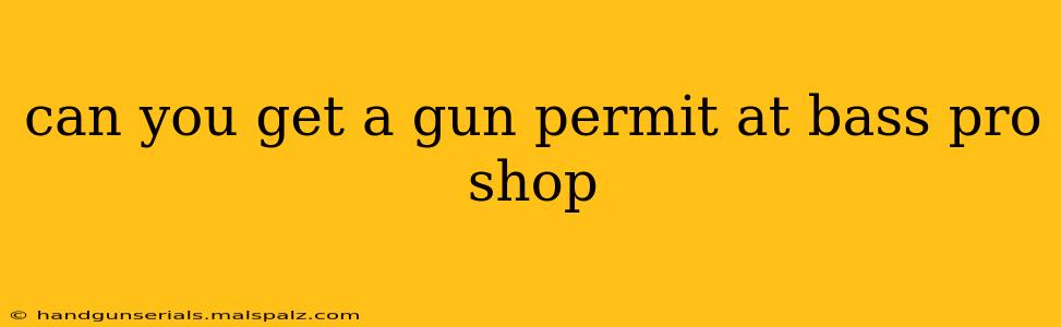 can you get a gun permit at bass pro shop