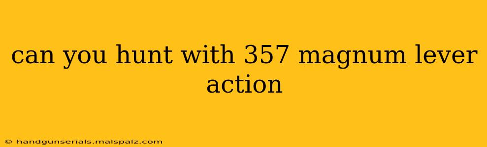 can you hunt with 357 magnum lever action