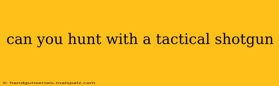 can you hunt with a tactical shotgun