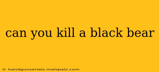 can you kill a black bear