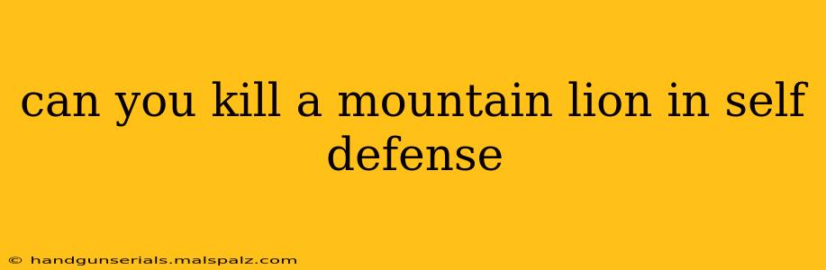 can you kill a mountain lion in self defense