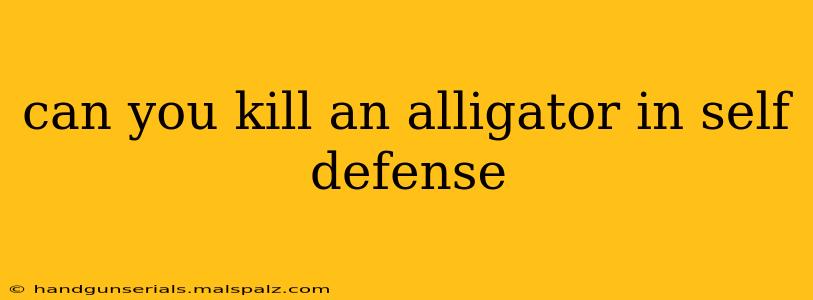 can you kill an alligator in self defense