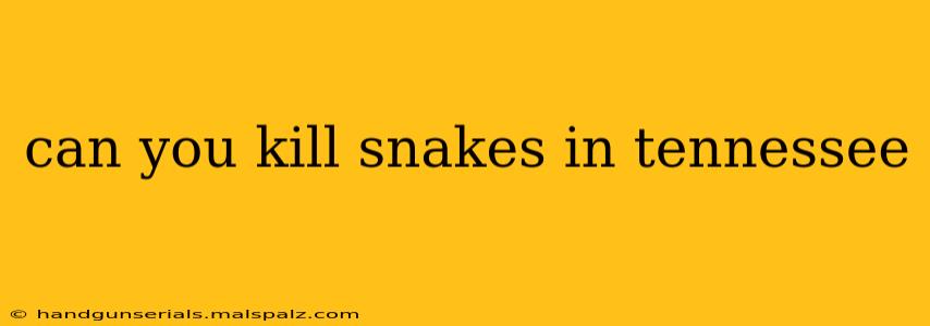 can you kill snakes in tennessee