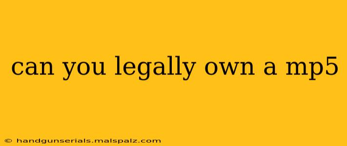 can you legally own a mp5