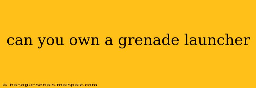 can you own a grenade launcher