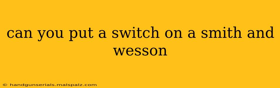 can you put a switch on a smith and wesson