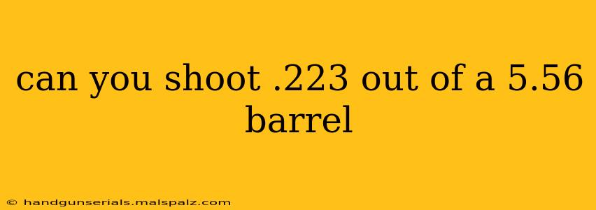 can you shoot .223 out of a 5.56 barrel