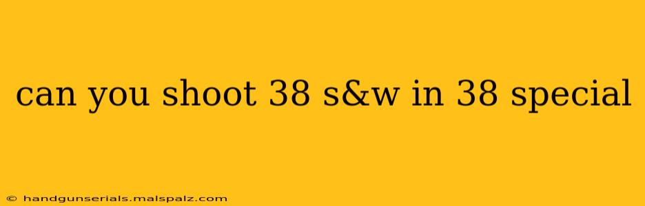 can you shoot 38 s&w in 38 special