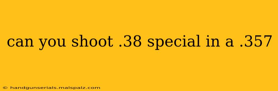 can you shoot .38 special in a .357