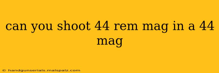 can you shoot 44 rem mag in a 44 mag