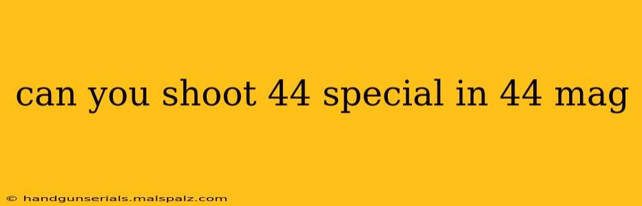 can you shoot 44 special in 44 mag