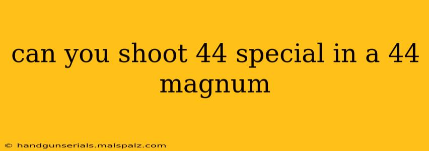 can you shoot 44 special in a 44 magnum