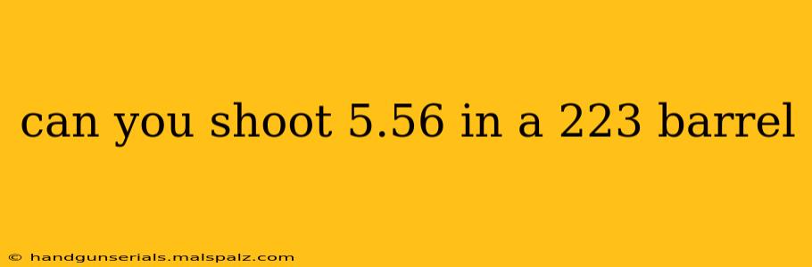 can you shoot 5.56 in a 223 barrel