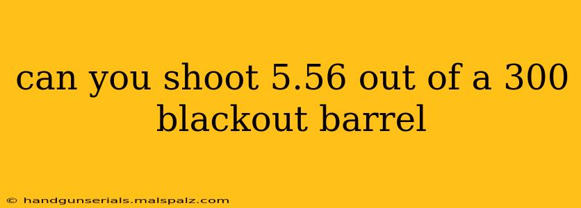 can you shoot 5.56 out of a 300 blackout barrel