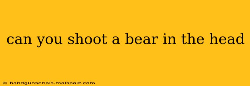 can you shoot a bear in the head