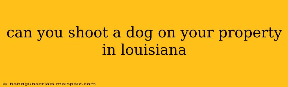 can you shoot a dog on your property in louisiana