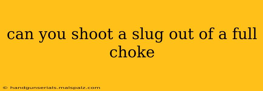 can you shoot a slug out of a full choke