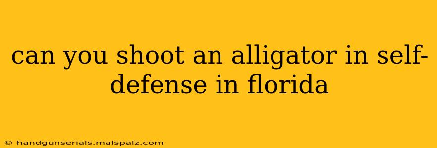 can you shoot an alligator in self-defense in florida