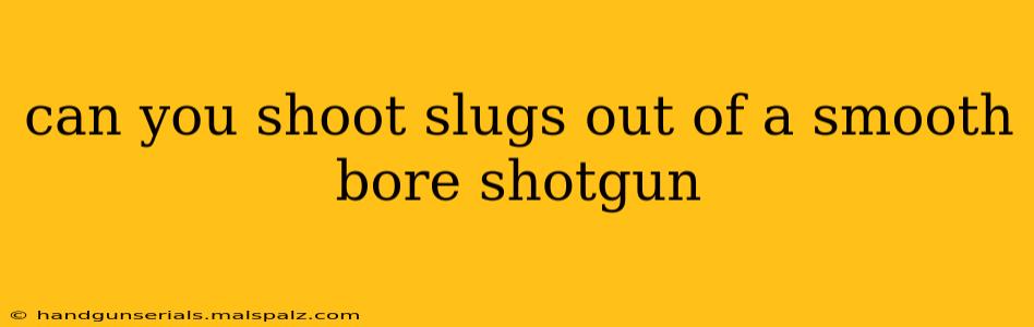 can you shoot slugs out of a smooth bore shotgun