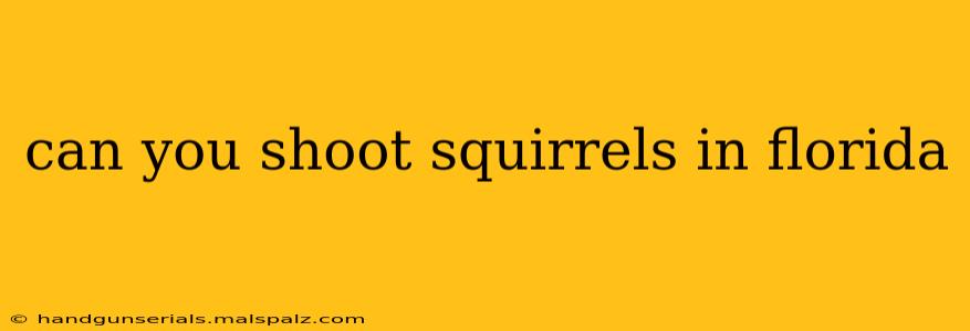 can you shoot squirrels in florida