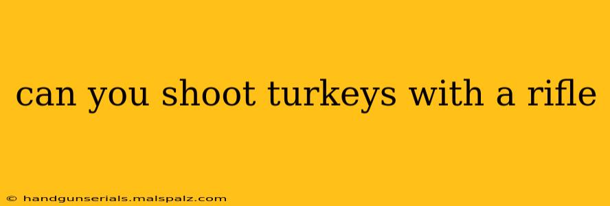 can you shoot turkeys with a rifle