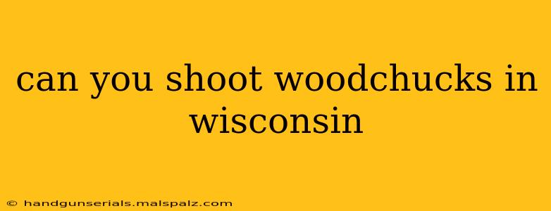 can you shoot woodchucks in wisconsin