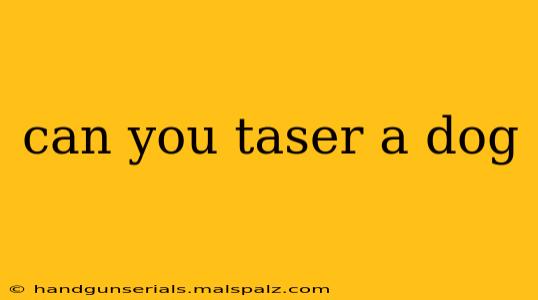 can you taser a dog