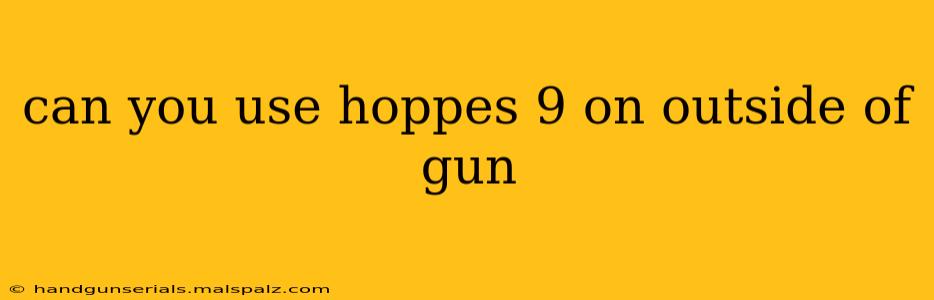 can you use hoppes 9 on outside of gun