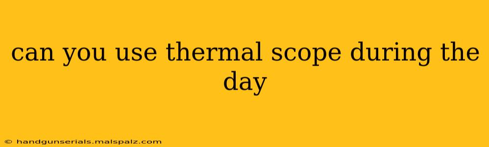 can you use thermal scope during the day