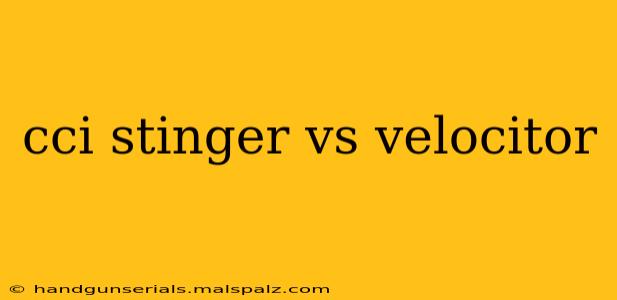 cci stinger vs velocitor