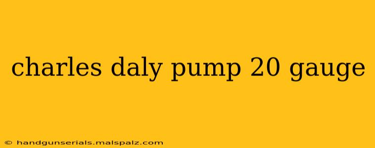 charles daly pump 20 gauge