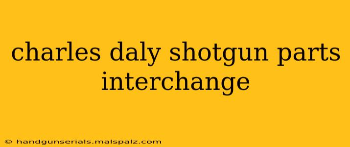 charles daly shotgun parts interchange