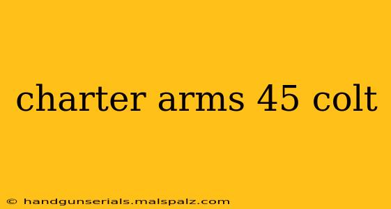 charter arms 45 colt