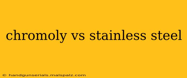 chromoly vs stainless steel