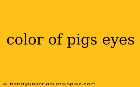 color of pigs eyes