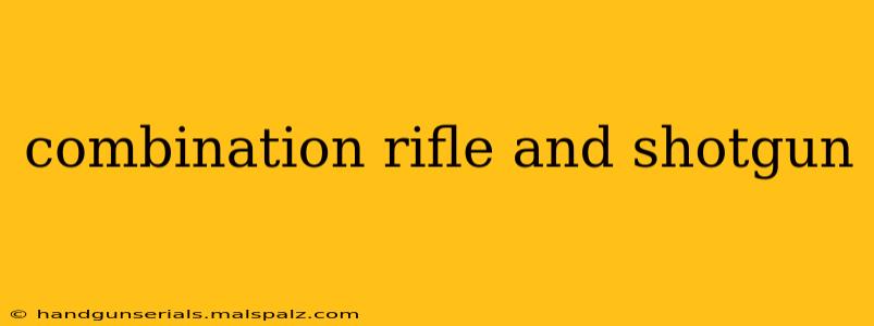 combination rifle and shotgun