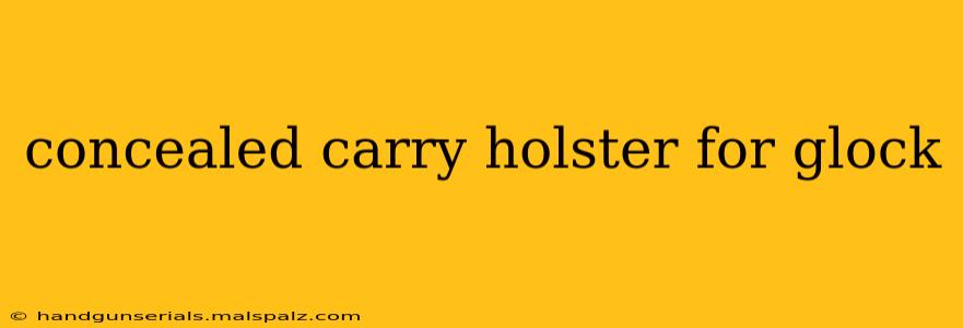 concealed carry holster for glock